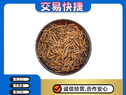 柳北区高价回收散虫草